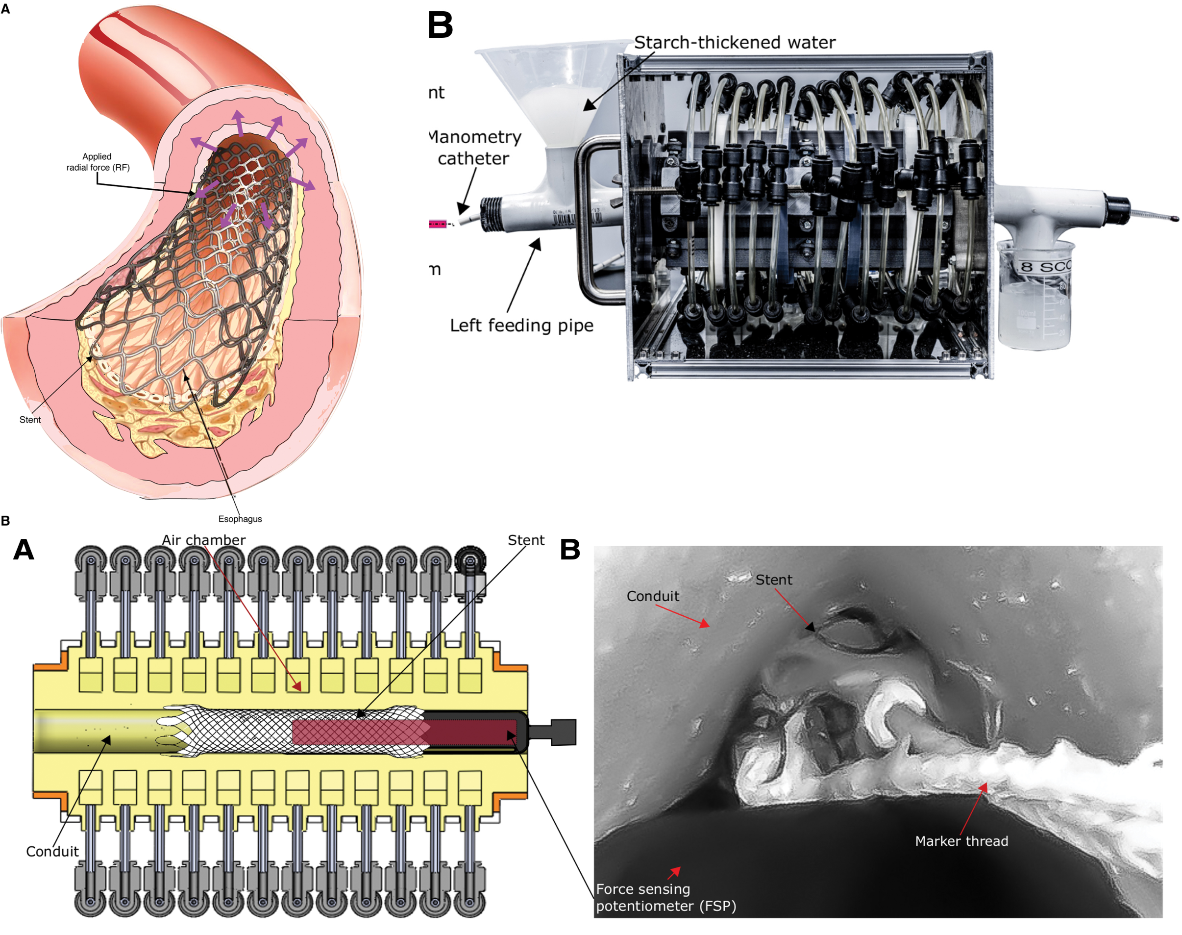 Soft Robotics Research