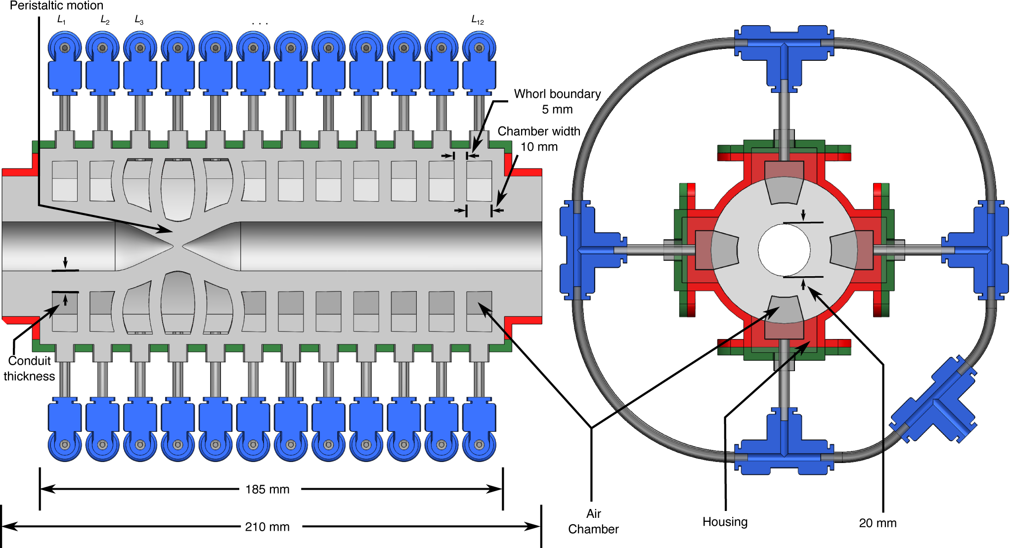 Side and top sectional view of RoSE